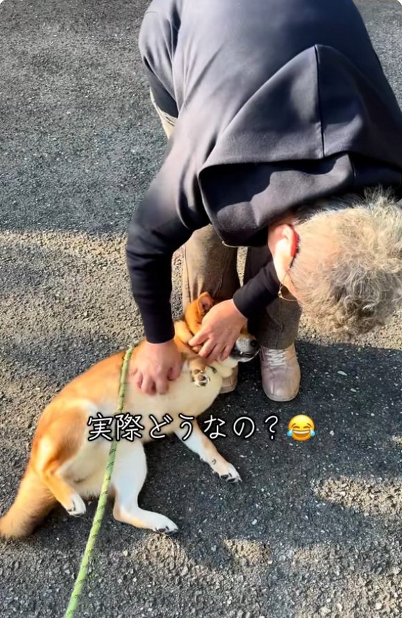 問いかける飼い主さん
