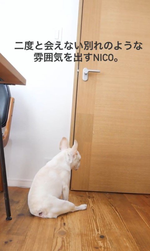 お父さんが2階にいるときのnicoくん2