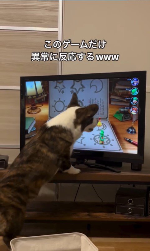 ゲームに興味津々のググくん4