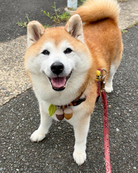 いつでも笑顔なまるちゃんでした♡