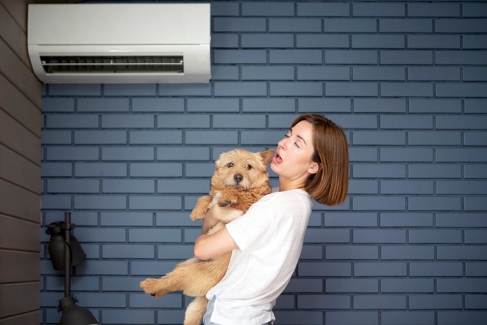 エアコンの下で飼い主さんに抱っこされる犬