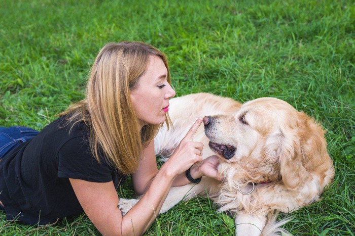 犬の鼻先を触る