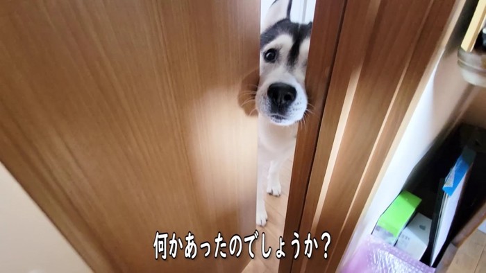 はっちゃんが部屋を訪れた