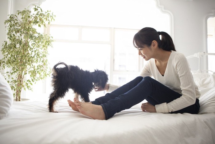 ベッドの上で犬と遊ぶ女性