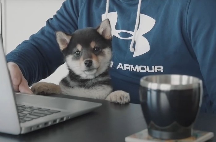 カップとPCの前に座る人と犬