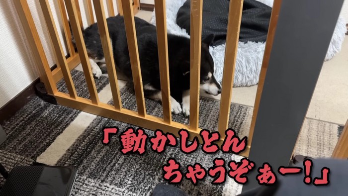 足が動いたことに逆ギレ!!