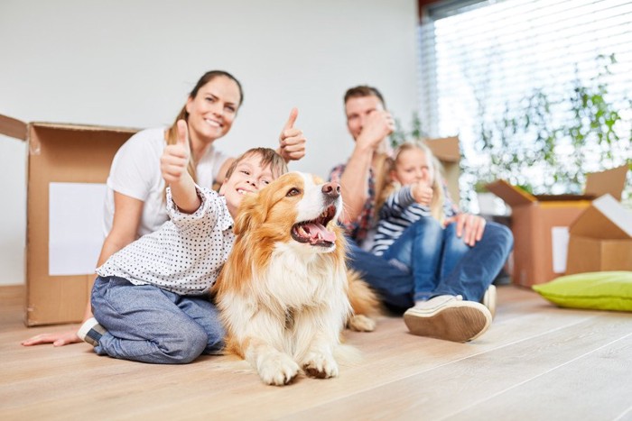 人の家族と犬