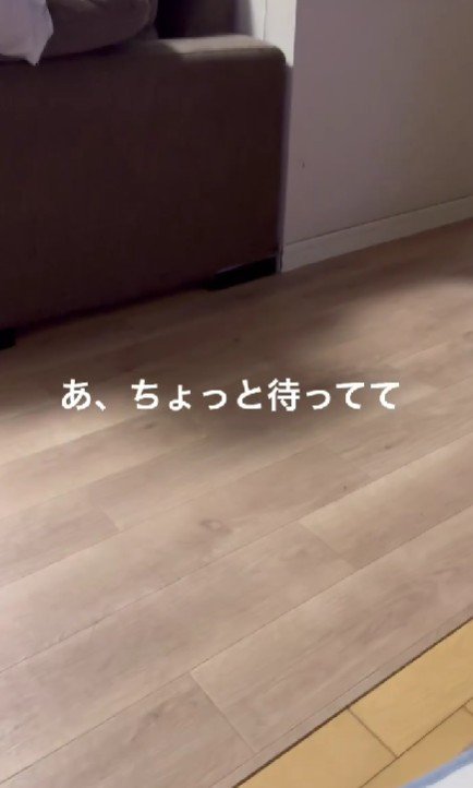 いなくなっちゃった…