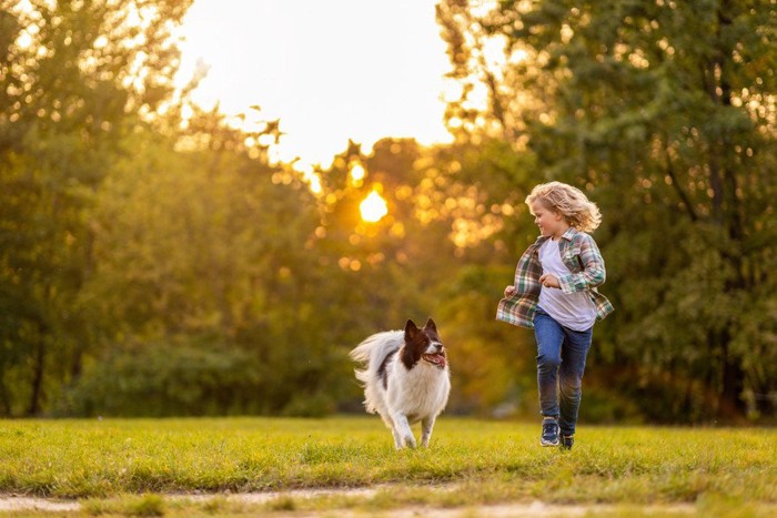 外を走る犬と少年