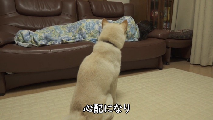 ますます心配になって、しょんぼり…