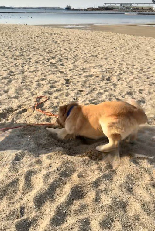 海辺でのハプニング