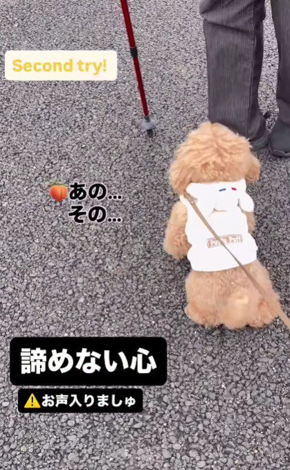 「あの…その…」