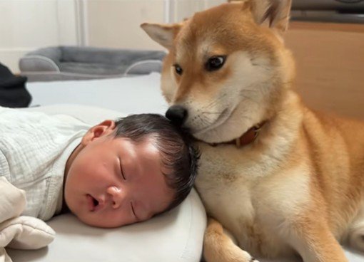 匂いのチェック中