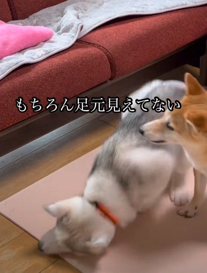 そのまま落下!!