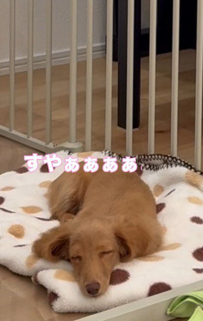 思わずウトウト