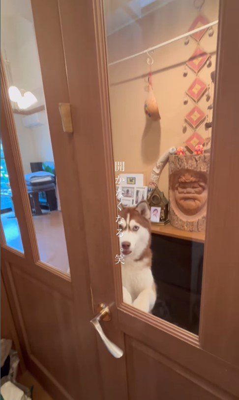 ドアを開けるシンプソンちゃん9