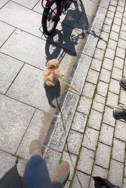 一気にご機嫌に