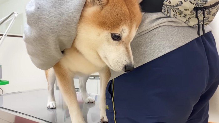 諦めの表情