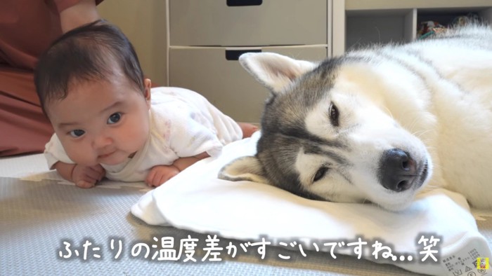 もうひとがんばり！！