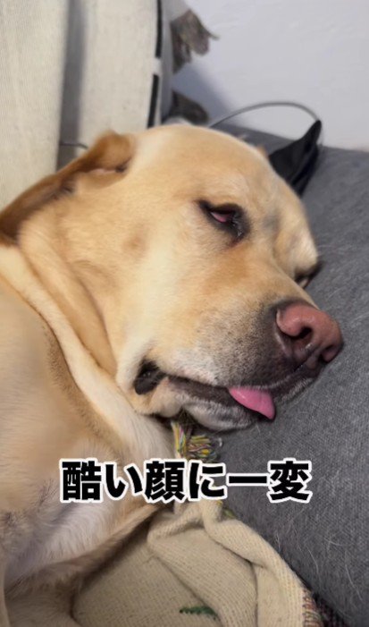 衝撃的な顔に一変！