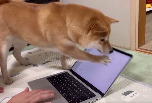 おてて