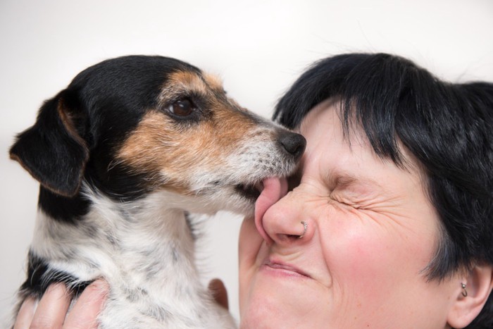 顔を舐める犬