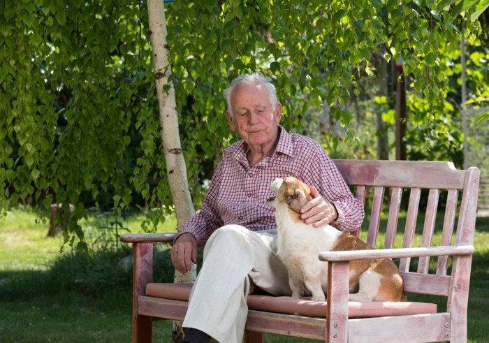 老人と犬