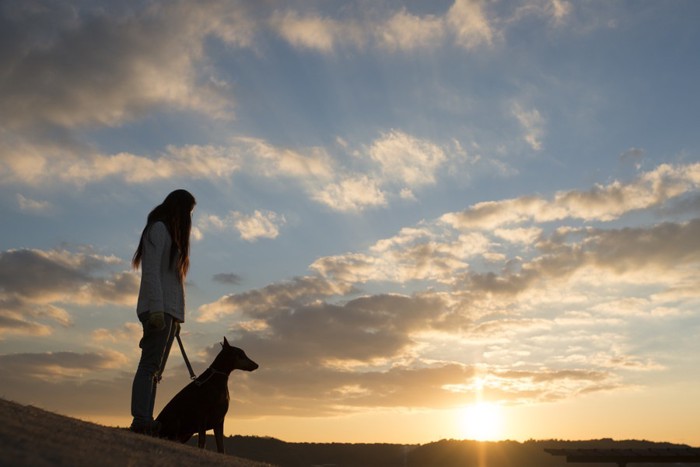 朝日の中の女性と犬(シルエット)