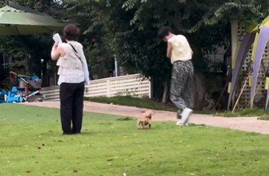 女性に話しかけるようなカニヘンダックスフンド