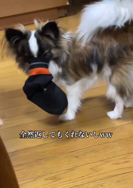 絶対に離さない!!