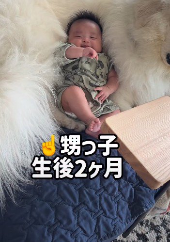 赤ちゃんがベッドにしているのは…