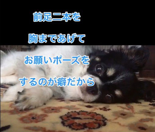 ちーちゃんとの出会い4