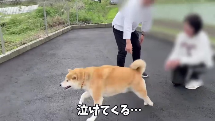 全員が涙…