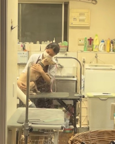 座るイタグレにそっとハグするお姉さん