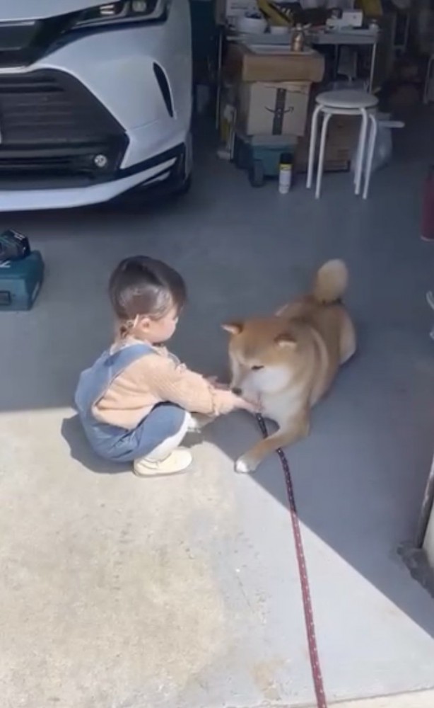 優しい対応…!