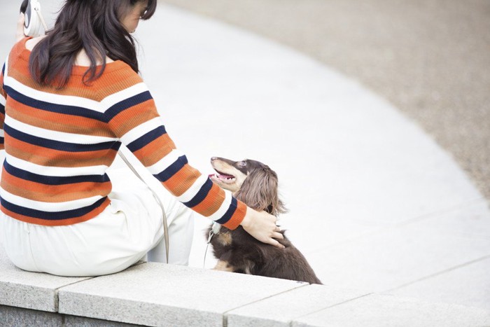 撫でる女性と見つめる犬