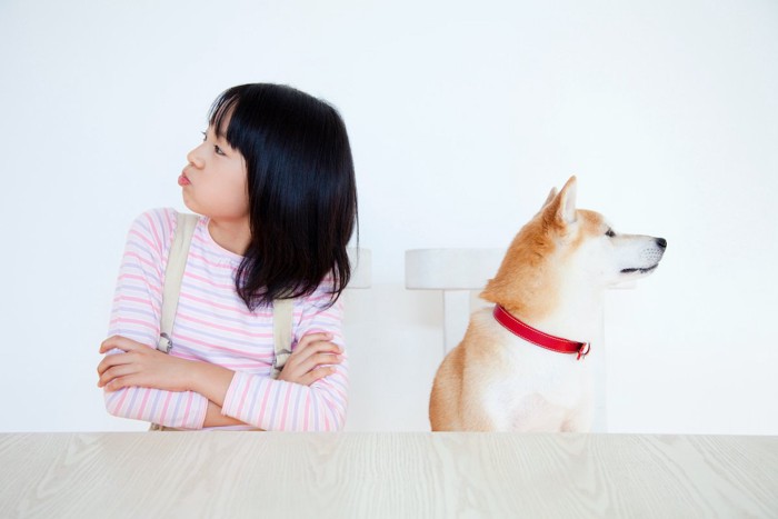 少女と柴犬