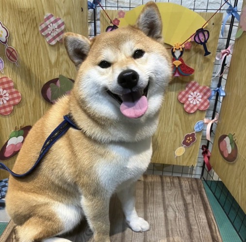ニコニコ笑顔