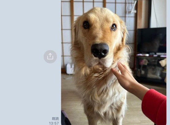 切ない表情にキュン…♡