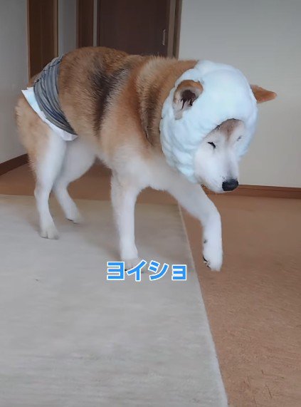 手作りのヘッドギア