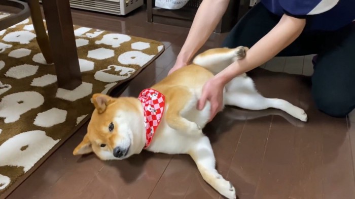 後ろ足でキック!