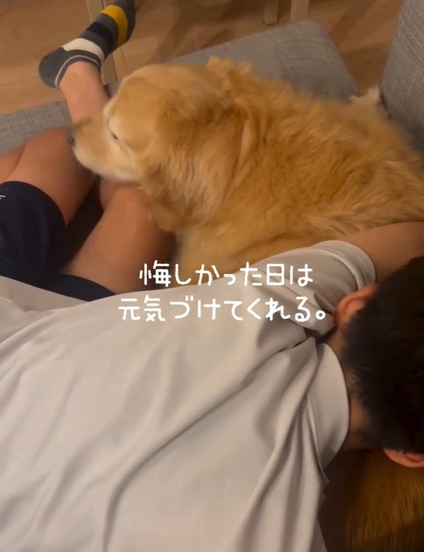 元気づけるきなこちゃん