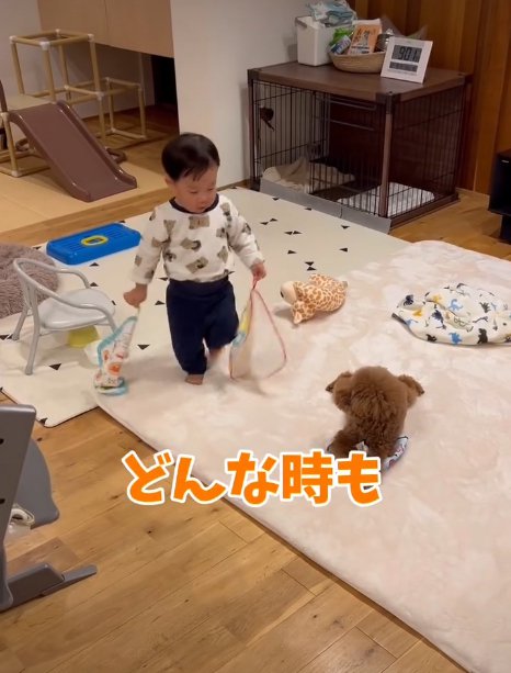立っている赤ちゃんと座る犬