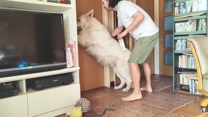 立つ犬と男性