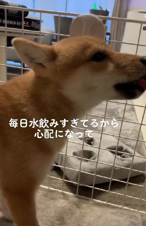 水を飲み過ぎる