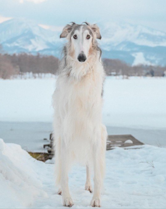自分が主役のソロショット！