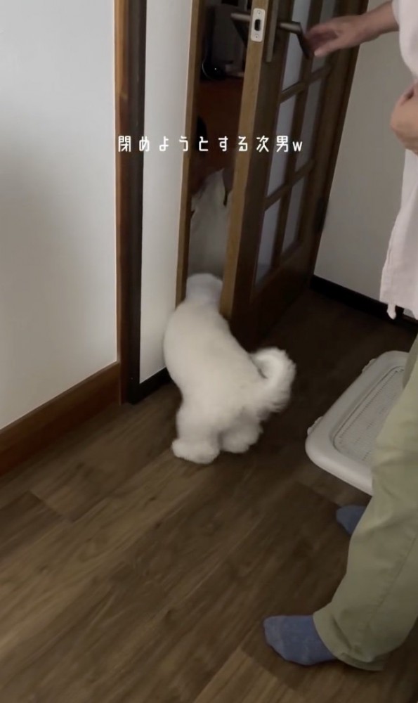 「入るよっ」