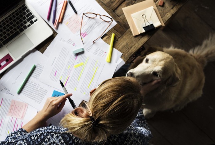 書類を広げる女性と犬