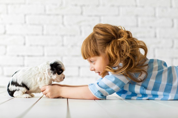 子犬と女の子