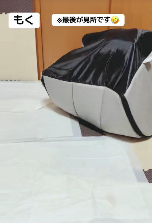 ひっくり返ってしまいました！